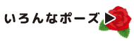 いろんなポーズ