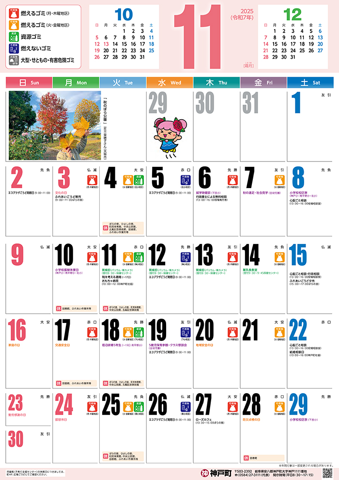 11月