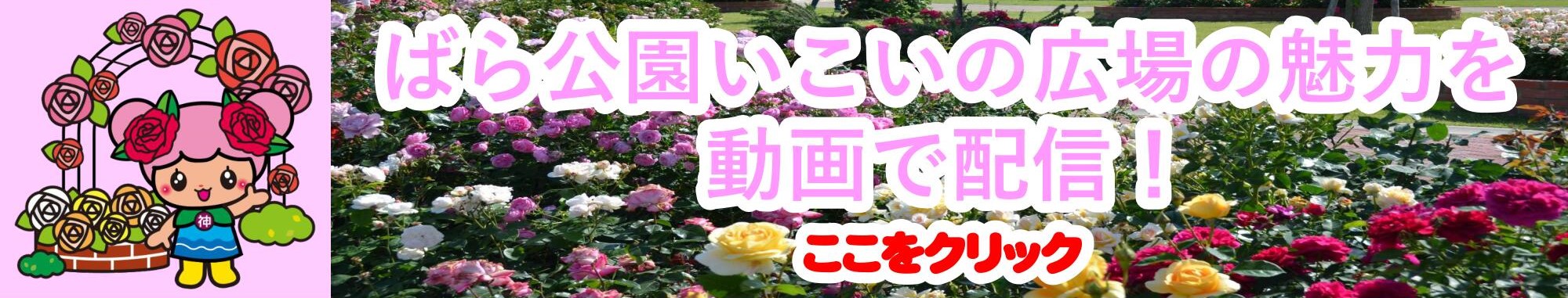 ばら公園いこいの広場の魅力を動画で配信!