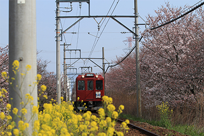 春を走る養老鉄道／髙田 則義