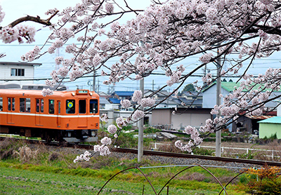 さくらと養老鉄道／寺田 重美