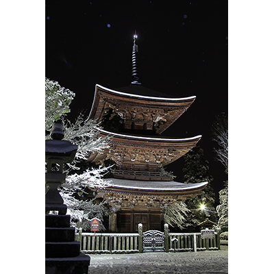 雪の日（月の日）／山口　忠幸