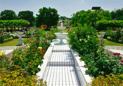 白いばら公園／田口 治幸