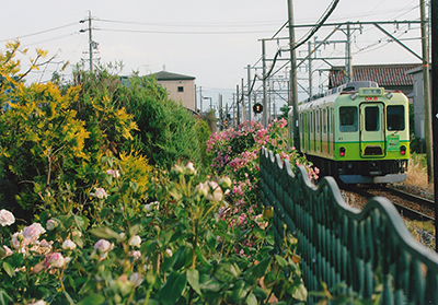 バラと電車／大橋 浩美