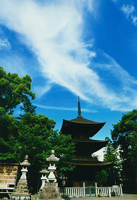 夏雲／稲垣 新二