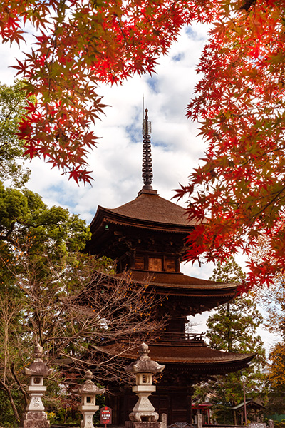 紅葉と三重塔／早川　隆宏