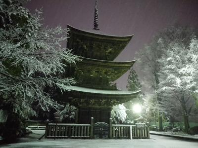 雪の中の三重塔／芝地　みどり