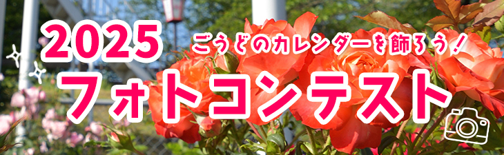 2025フォトコンテストごうど