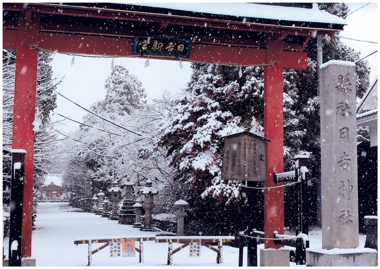 初雪/小田 和彦