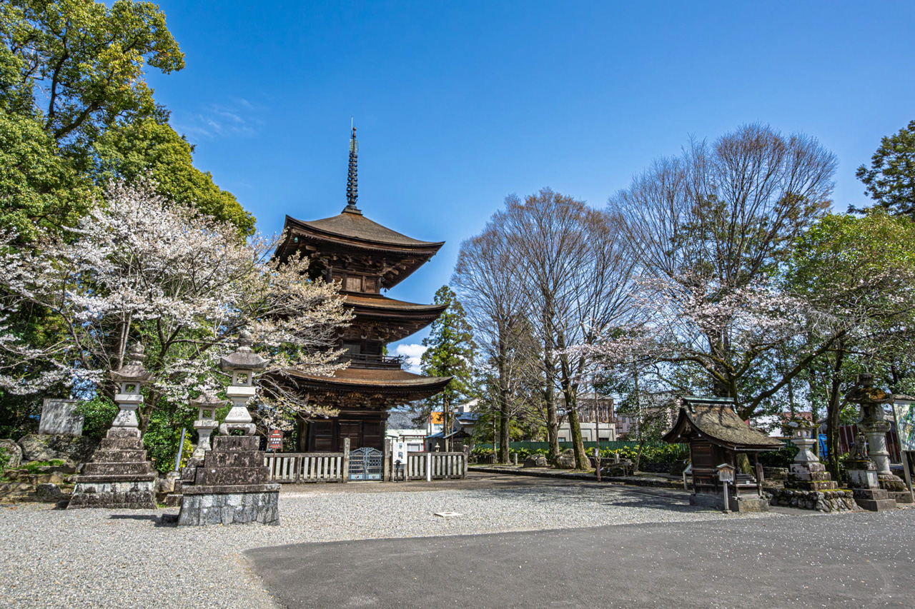 春のたより/春日井 秀俊