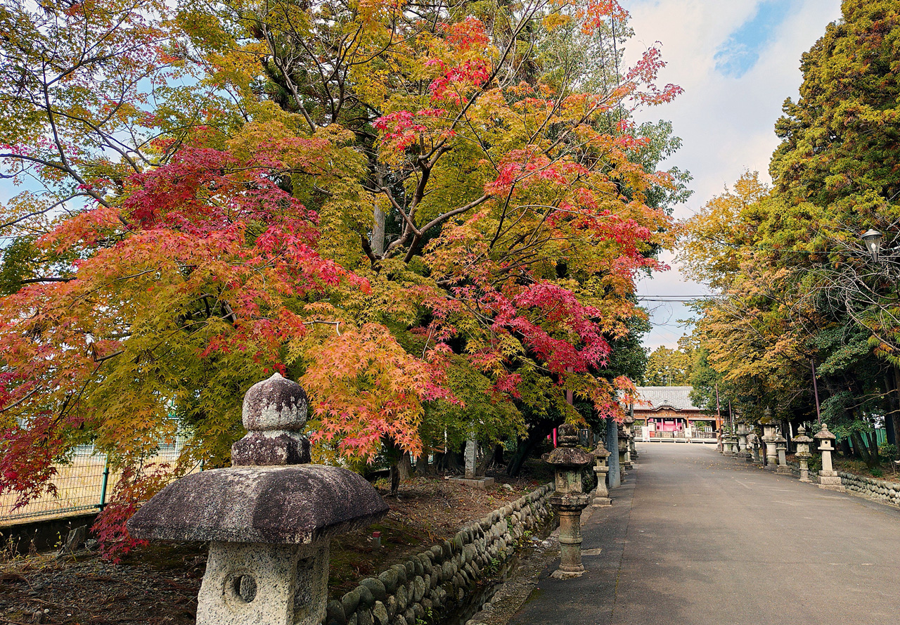 参道を彩る/太田 宣行