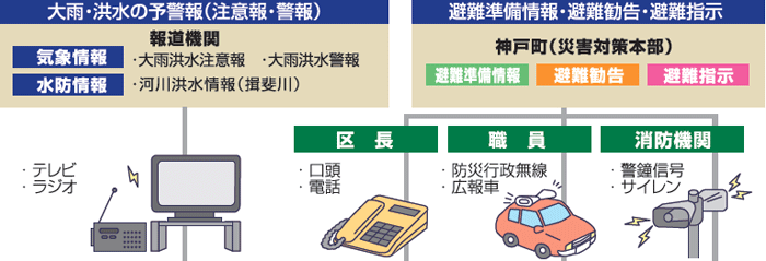 情報伝達経路
